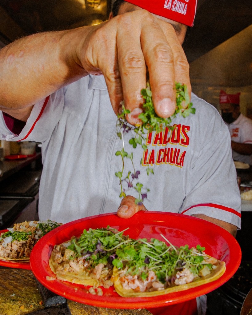 Chef adding microgreens to tacos